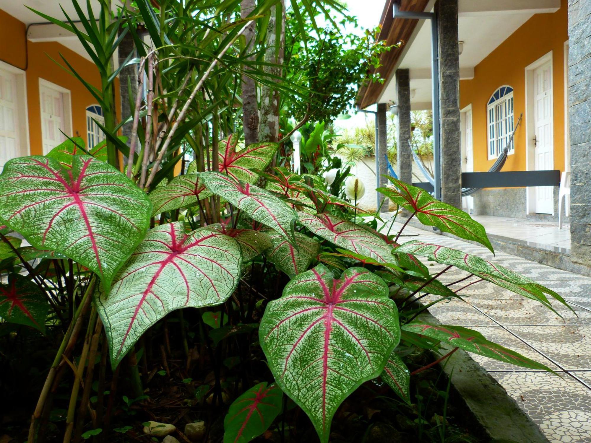 Villa Do Sonho Pousada Hotel Araquari Exteriör bild